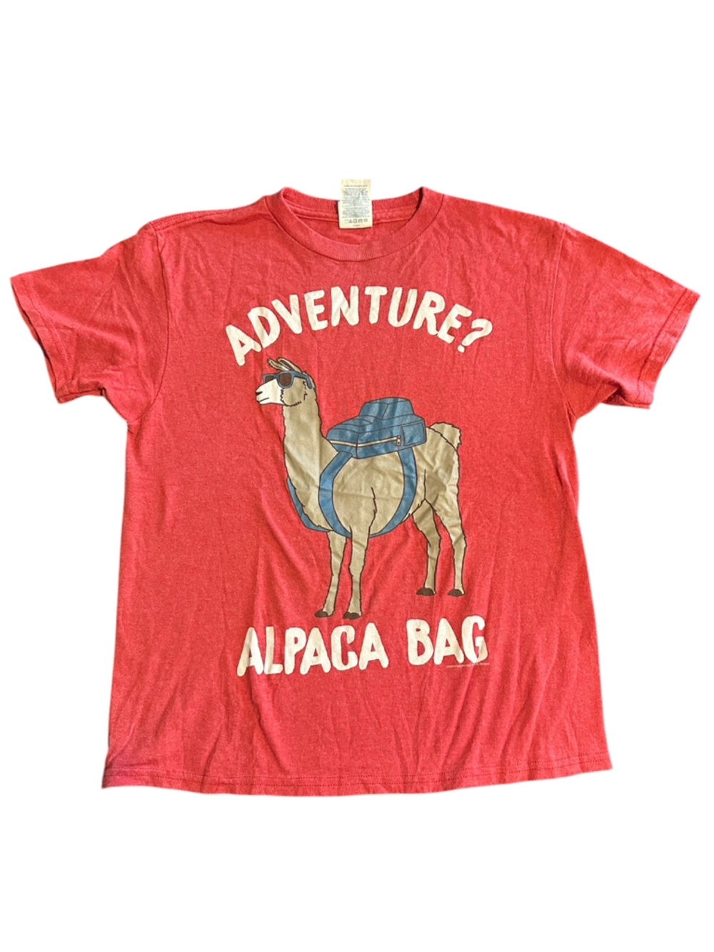 Delta Pro Weight Red Graphic Youth Tee